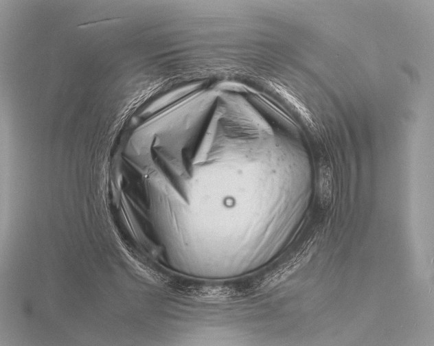 X0000116140493200912071246