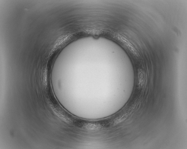 X0000116140494200912071246