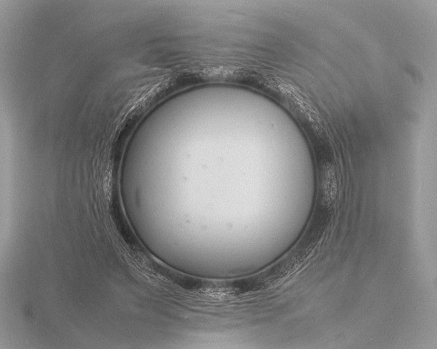 X0000116140495200912071246