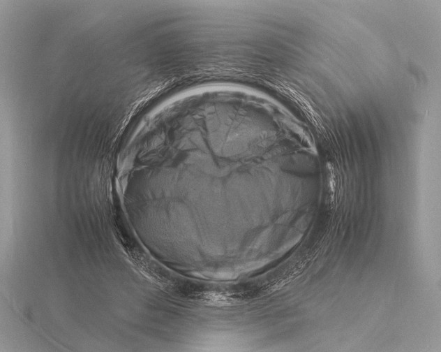 X0000116140496200912071246