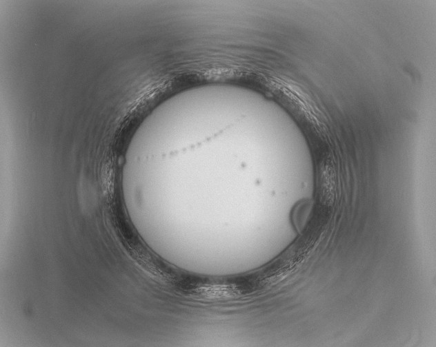 X0000116140499200912071246