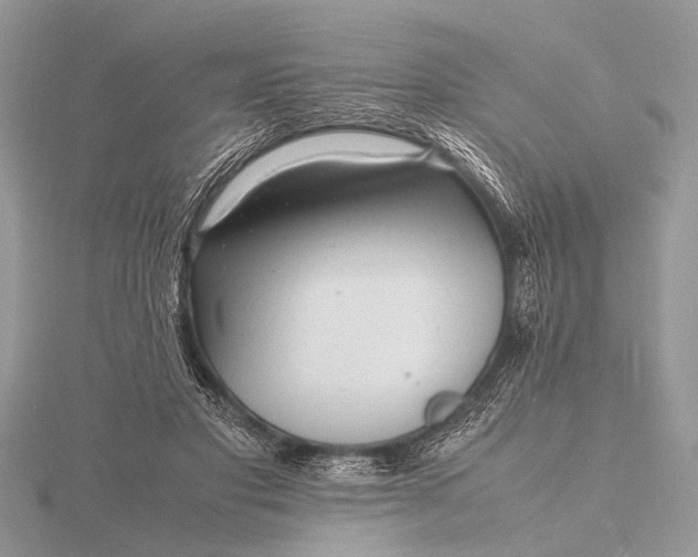 X0000116140501200912071246