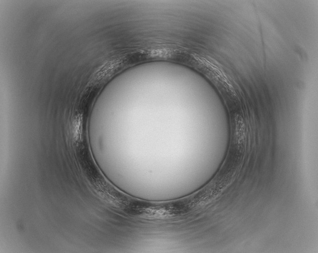 X0000116140502200912071246