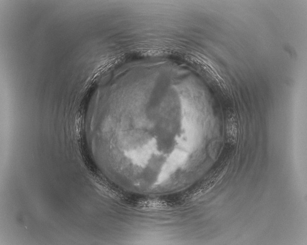 X0000116140503200912071246