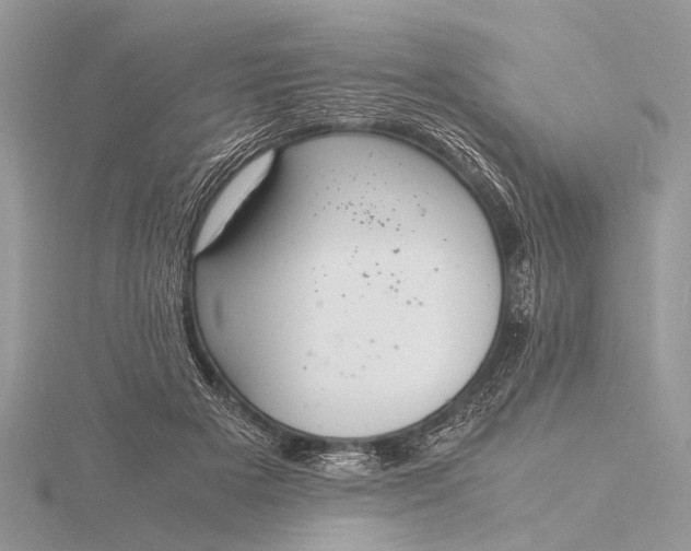 X0000116140505200912071246