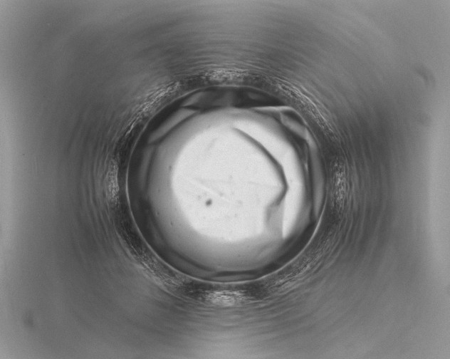 X0000116140508200912071245