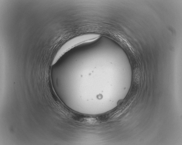 X0000116140509200912071245