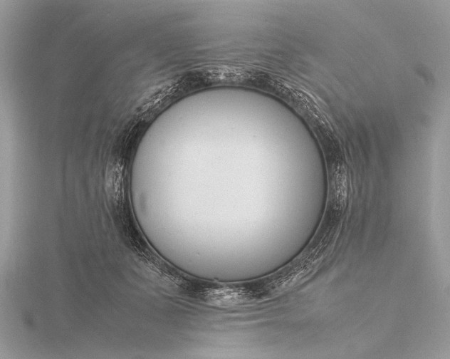 X0000116140511200912071245