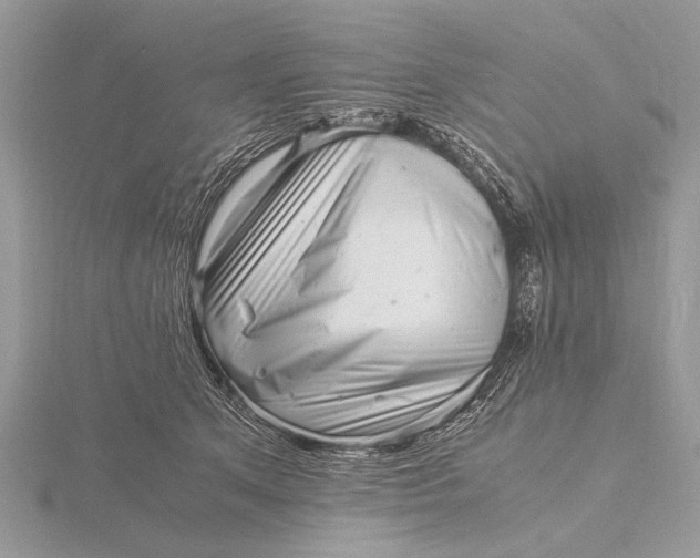 X0000116140513200912071245