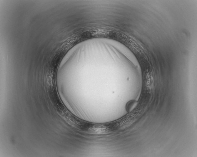 X0000116140514200912071245