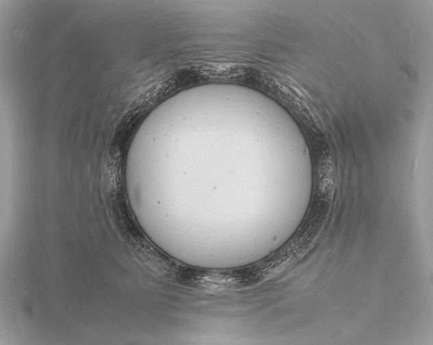 X0000116140515200912071245