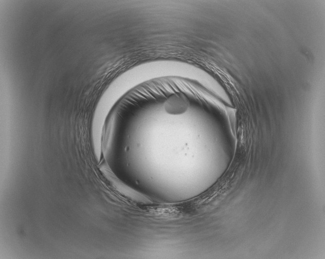 X0000116140517200912071245