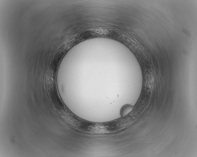 X0000116140518200912071245