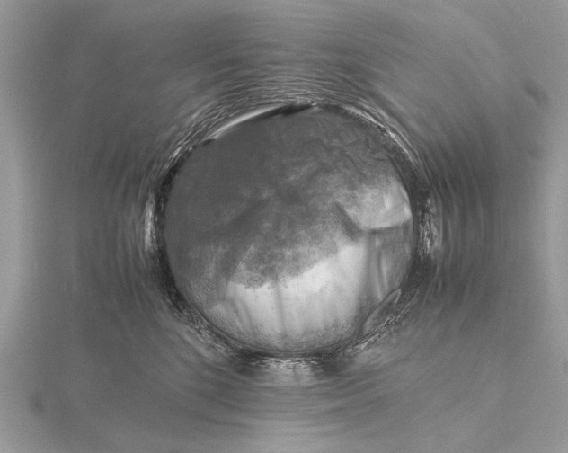 X0000116140520200912071245