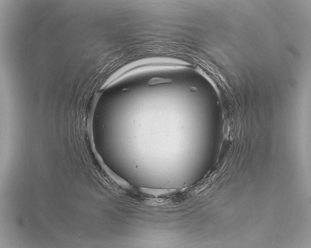 X0000116140521200912071245