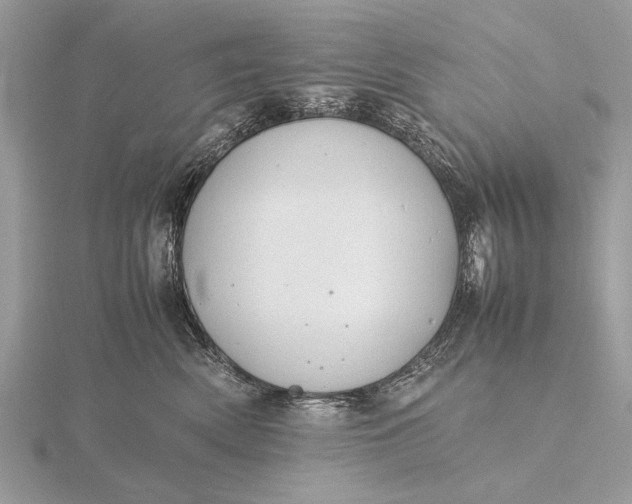 X0000116140522200912071245