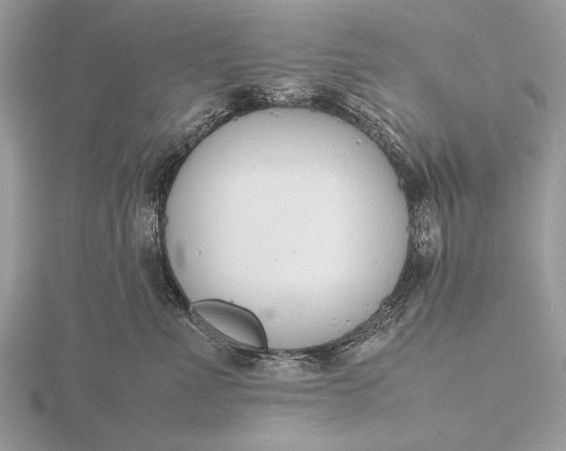 X0000116140523200912071245