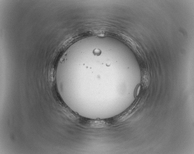 X0000116140525200912071245