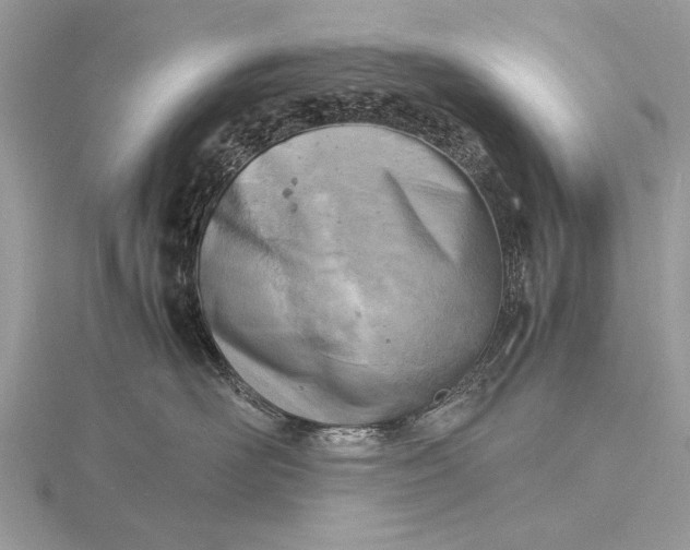 X0000116140526200912071245