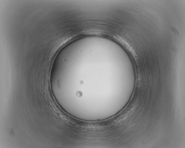 X0000116140529200912071245