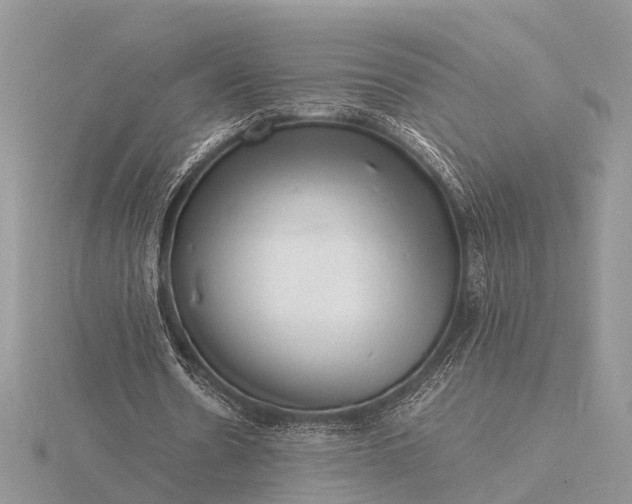 X0000116140530200912071245