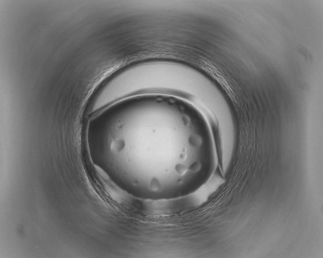 X0000116140534200912071245