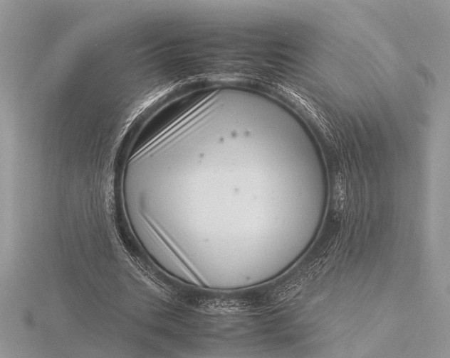 X0000116140535200912071245