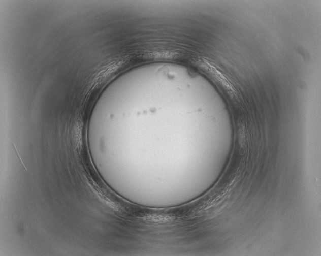 X0000116140537200912071245