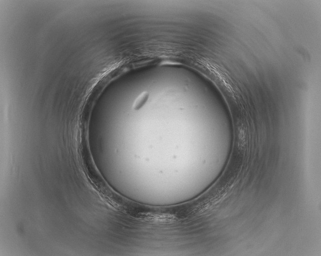 X0000116140539200912071245