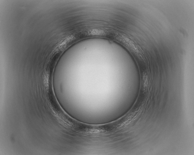 X0000116140542200912071245