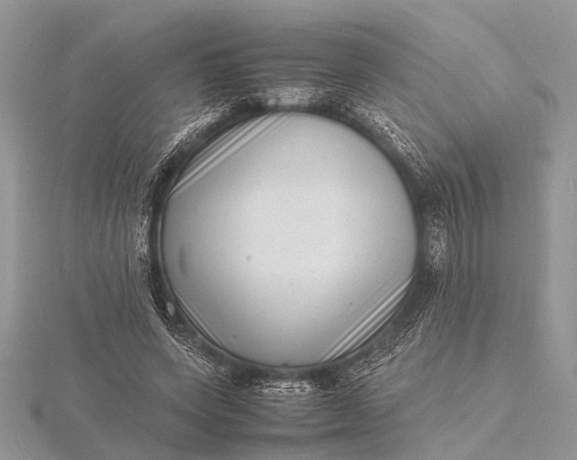 X0000116140543200912071245