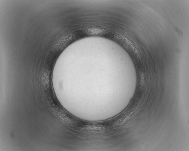 X0000116140545200912071245