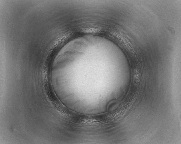 X0000116140547200912071245