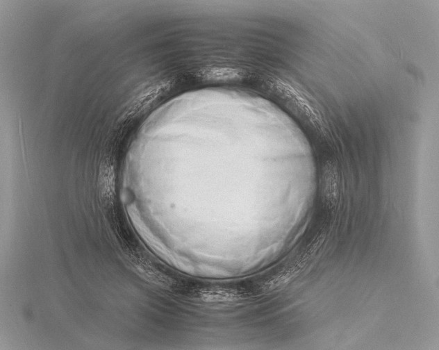 X0000116140549200912071245