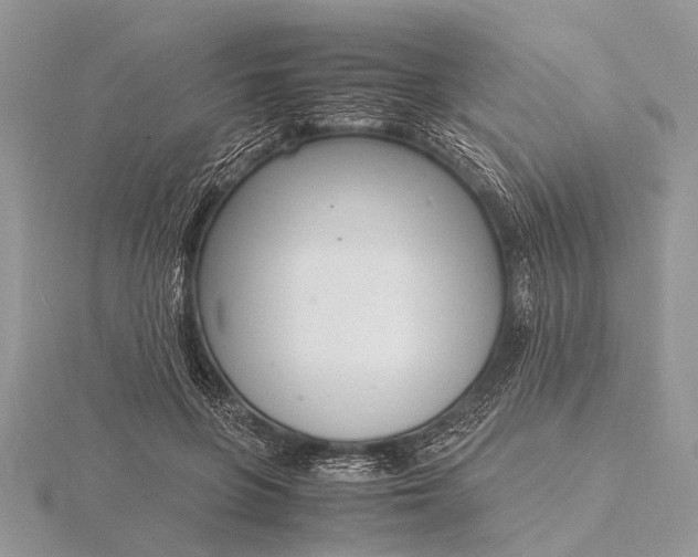 X0000116140551200912071245