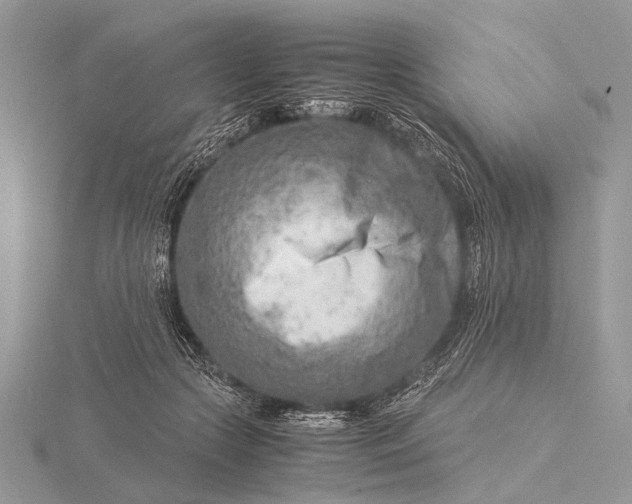 X0000116140553200912071245