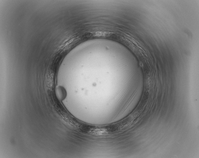 X0000116140554200912071245