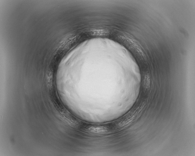 X0000116140557200912071245