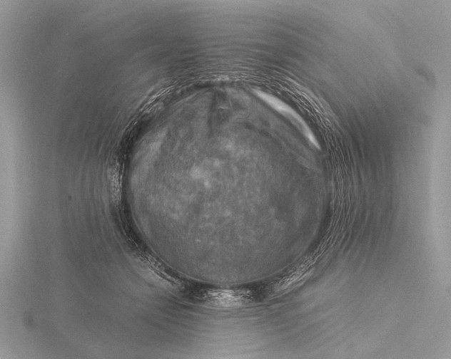 X0000116140558200912071245