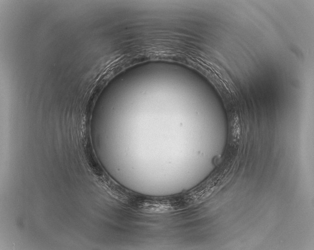 X0000116140559200912071245