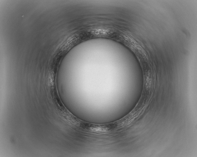 X0000116140561200912071245