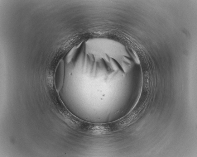 X0000116140562200912071245