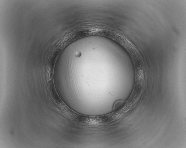 X0000116140565200912071245