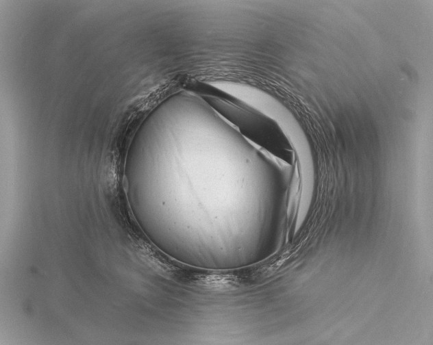 X0000116140566200912071245