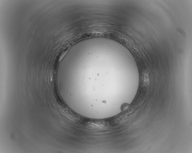 X0000116140567200912071245