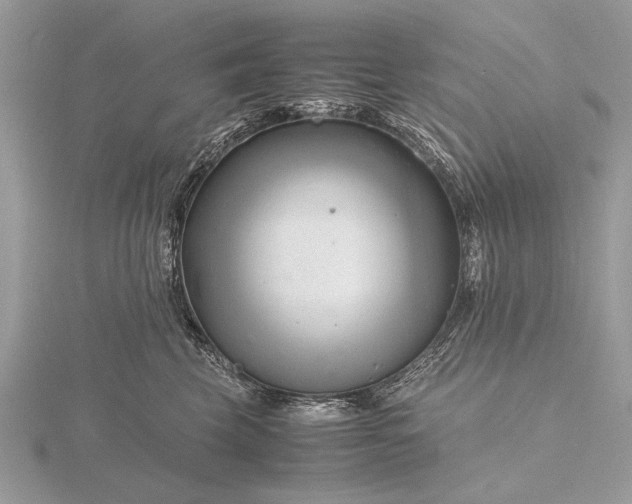 X0000116140569200912071245