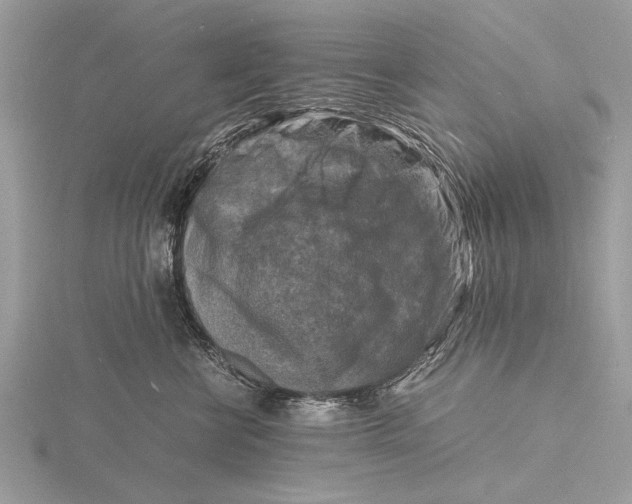 X0000116140570200912071245