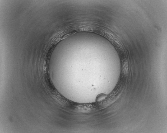 X0000116140571200912071245