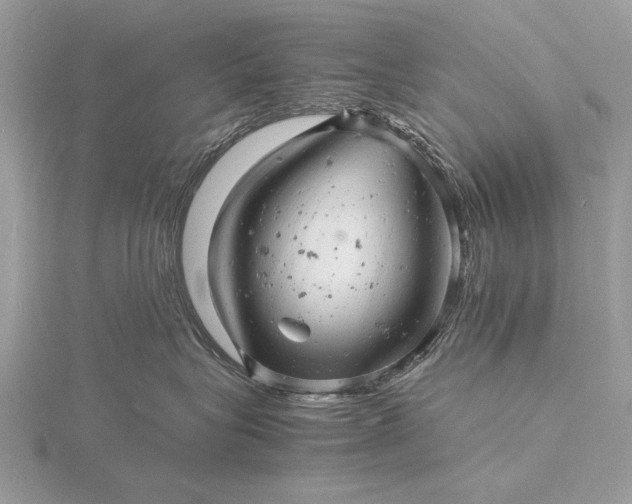 X0000116140575200912071245