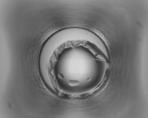 X0000116140577200912071245